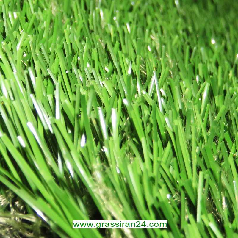 چمن-مصنوعی-نیوساد-ام-250آلفا202.jpg