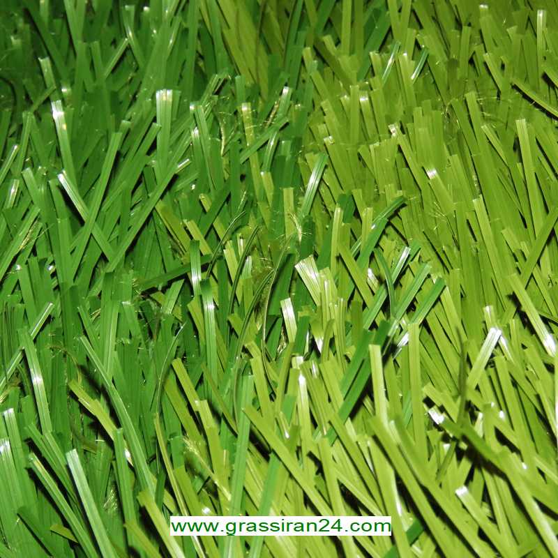 چمن-مصنوعی-نیوساد-دورنگ-ام500202.jpg