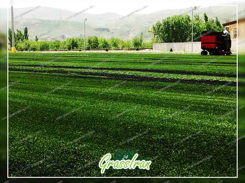 راهنمای خرید چمن مصنوعی فوتبالی