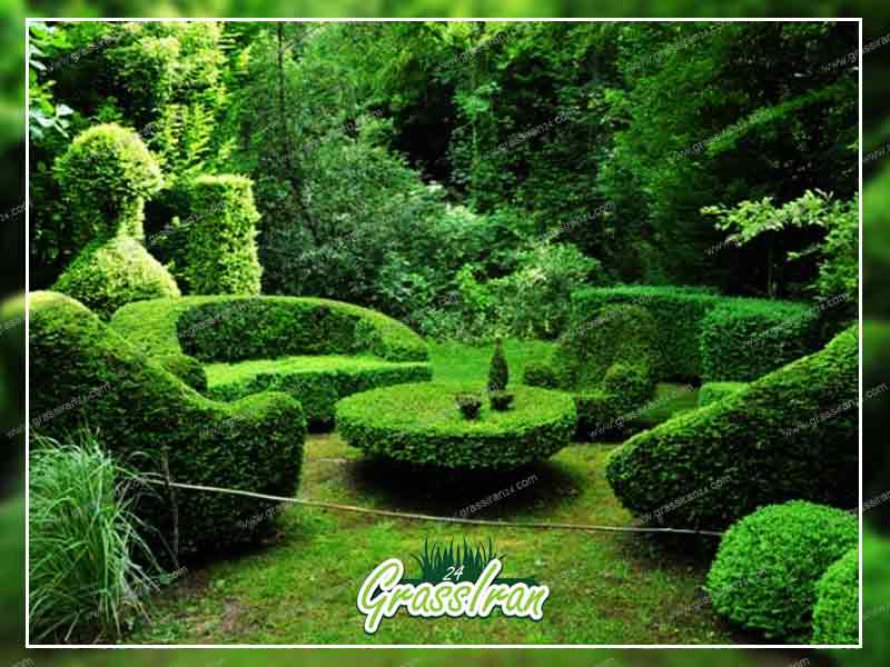 دنیاس چمن مصنوعی نیوساد