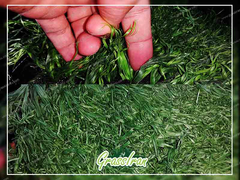 ارتفاع نخ چمن مصنوعی پایل چمن مصنوعی