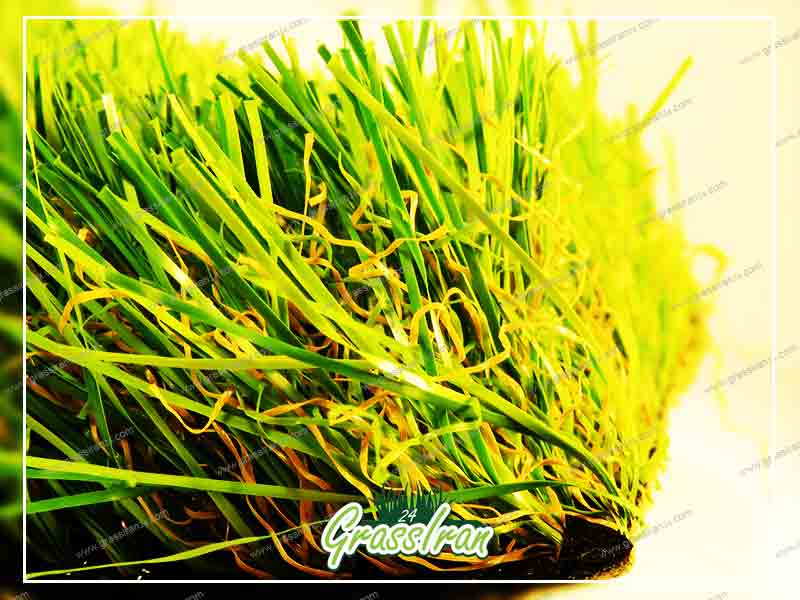 چمن  تولید ایران