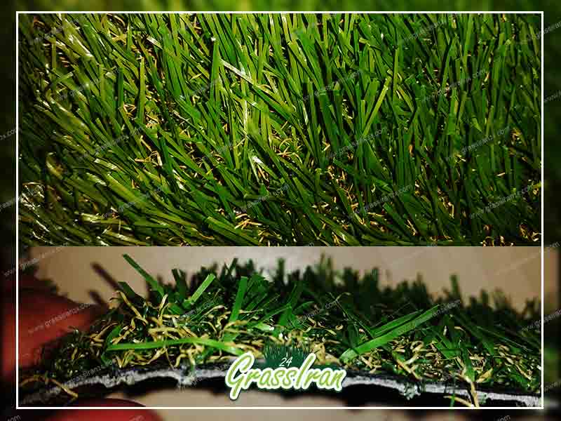 نکته های در باره خرید چمن