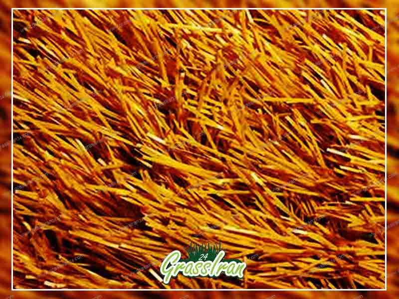 چمن مصنوعی بسکتبال