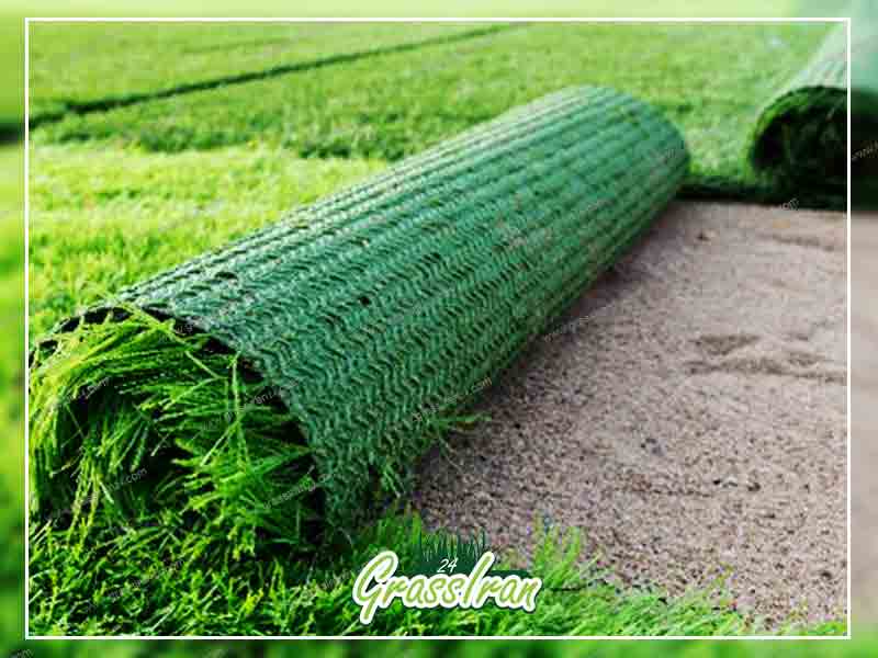 فروش فرش چمن مصنوعی