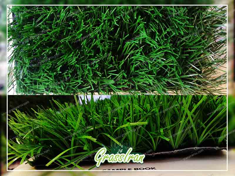 خرید چمن در شیراز