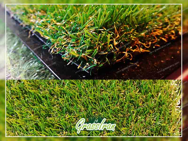 آسیا چمن محصولات