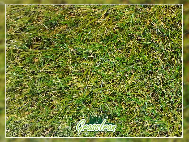 چمن مصنوعی پاییزه