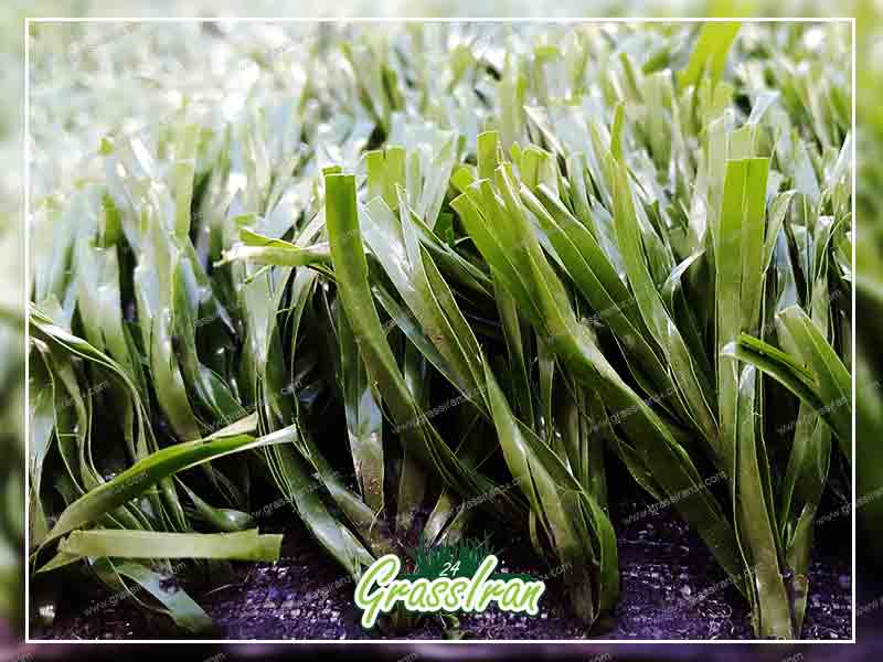 خرید چمن مصنوعی بلند