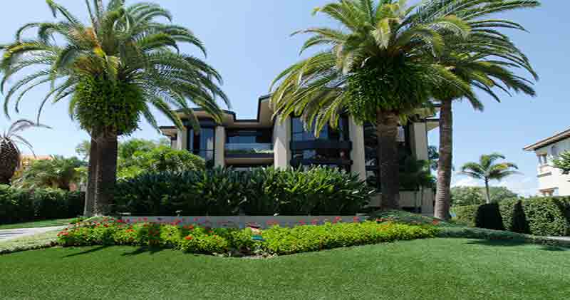 چمن مصنوعی تالار