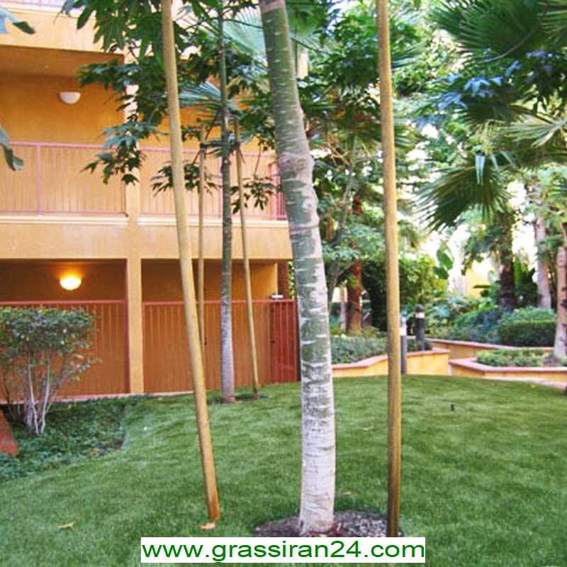 بهترین بذر چمن