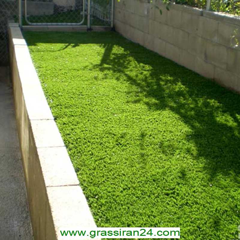 خرید چمن مصنوعی برای باغ در بوشهر