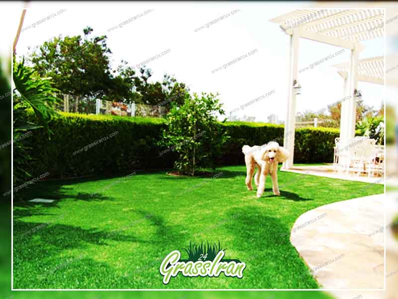 چمن مصنوعی برای حیوانات