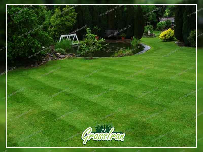 چمن ورزشی ویلایی