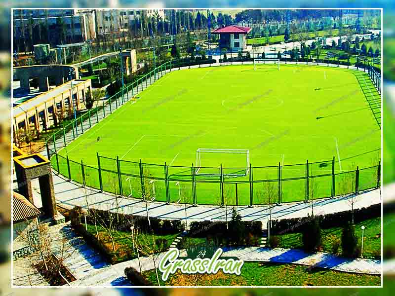 چمن ورزشگاهی