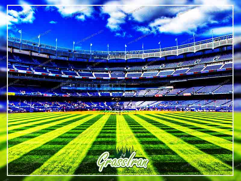 ورزشگاه چمن مصنوعی